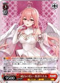 純白の装い 我部りえる[WS_AOH/W127-073R]