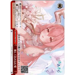 画像1: 優しく包み込む愛[WS_AOH/W127-097CR]
