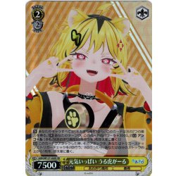 画像1: 【SR仕様(C)】元気いっぱい うる虎がーる[WS_AOH/W127-020S]