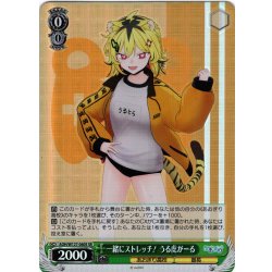 画像1: 【SR仕様(U)】一緒にストレッチ！ うる虎がーる[WS_AOH/W127-040S]