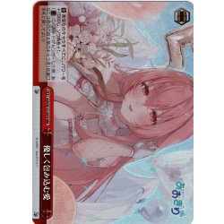 画像1: 【RRR仕様】優しく包み込む愛[WS_AOH/W127-097R]