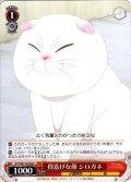 得意げな顔 シロガネ[WS_AYT/W110-054C]