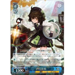 画像1: ブリストル[WS_AZL/S119-100R]