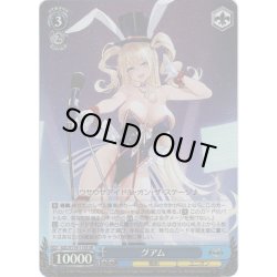 画像1: 【SR仕様(U)】グアム[WS_AZL/S119-115S]