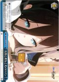 友情と勇気と光のロマン[WS_BAV/W112-142CR]