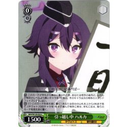 画像1: 引っ越し中 ハルカ[WS_BAV/W129-033C]