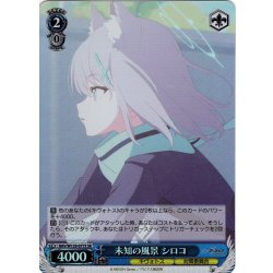 画像1: 【SR仕様(R)】未知の風景 シロコ[WS_BAV/W129-077S]