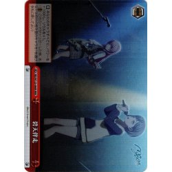 画像1: 【RRR仕様】碧天伴走[WS_BD/W125-066R]