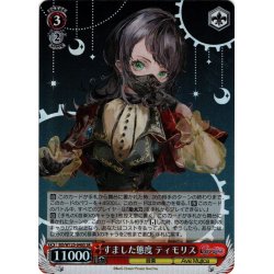 画像1: 【SR仕様(R)】すました態度 ティモリス[WS_BD/W125-040S]
