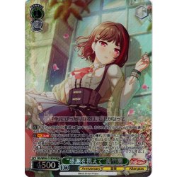 画像1: 【BDR仕様】“感謝を携えて”美竹蘭[WS_BD/WE49-21BDR]