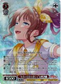 【BDR仕様】“未来の鼓動を感じて”山吹沙綾[WS_BD/WE49-35BDR]