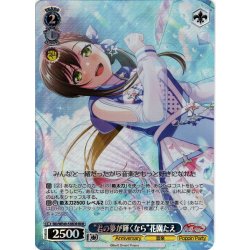 画像1: 【BDR仕様】“君の夢が輝くなら”花園たえ[WS_BD/WE49-53BDR]