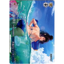 画像1: 【フレームレス仕様】真夏のシューター[WS_BRD/W139-110_PR]