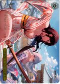 【フレームレス箔押し仕様】温泉修行：伝説の卒業生[WS_BRD/W139-102S_PR]