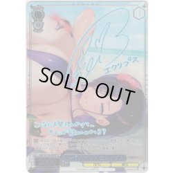 画像1: 【SP仕様(R)】ビーチバカンス エクリプス[WS_BRD/W139-080_SP]