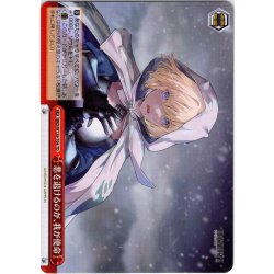 画像1: 悪を退けるのが、我が使命[WS_BRD/W139-T08TD]