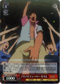 【SR仕様(C)】ノリノリフィーバー ひろし[WS_CS/S114-066S]