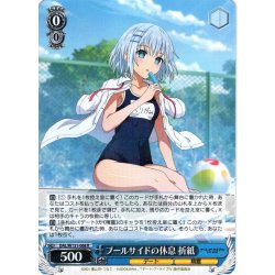 画像1: プールサイドの休息 折紙[WS_DAL/W131-068R]