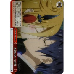 画像1: 【RRR仕様】家族になった瞬間[WS_DAL/W131-063R]