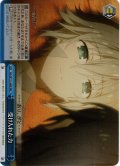 【RRR仕様】受け入れた力[WS_DAL/W131-099R]