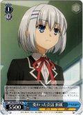 変わった会話 折紙[WS_DAL/W79-T15TD]
