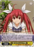 家でのひととき 琴里[WS_DAL/W99-011U]