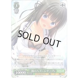 画像1: 朝のハプニング 二乃[WS_DC4/W81-068R]