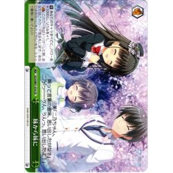 画像1: 妹から妹に[WS_DC4/W81-076CR]