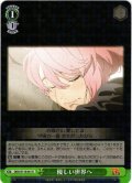 優しい世界へ[WS_DDD/S118-041R]