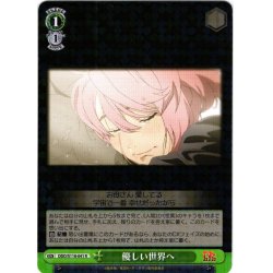 画像1: 優しい世界へ[WS_DDD/S118-041R]