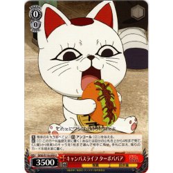 画像1: キャンパスライフ ターボババア[WS_DDD/S118-059U]