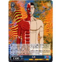画像1: 太郎[WS_DDD/S118-088C]