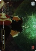 【RRR+仕様】オカルト世界[WS_DDD/S118-019_RRR+]