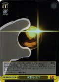 【SR仕様(U)】神聖な玉!?[WS_DDD/S118-017S]