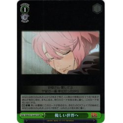 画像1: 【SR仕様(R)】優しい世界へ[WS_DDD/S118-041S]