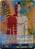 【SR仕様(C)】太郎[WS_DDD/S118-088S]