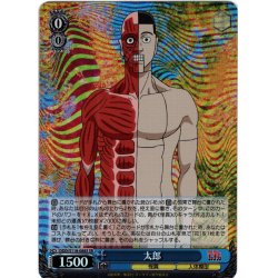 画像1: 【SR仕様(C)】太郎[WS_DDD/S118-088S]