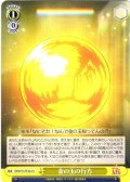 金の玉の行方 [WS_DDD/S129-022U]