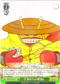 宇宙からの恩返し [WS_DDD/S129-039R]