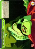 美少女VS未知の敵 [WS_DDD/S129-041CR]