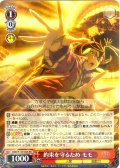 約束を守るため モモ [WS_DDD/S129-043RR]