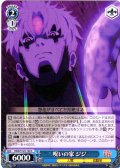 呪いの家 ジジ [WS_DDD/S129-100C]