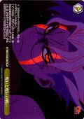 【フレームレス仕様】呪いと呪いの戦い [WS_DDD/S129-105_PR]