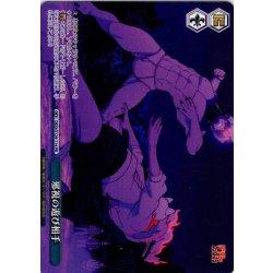画像1: 【フレームレス仕様】邪視の遊び相手 [WS_DDD/S129-114_PR]