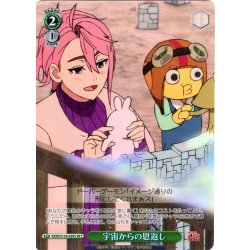 画像1: 【SR星2】宇宙からの恩返し [WS_DDD/S129-039S]