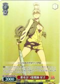 【SR星2】悪を討つ霊媒師 星子 [WS_DDD/S129-048S]