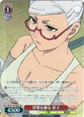 【SR星1】対策を練る 星子 [WS_DDD/S129-060S]