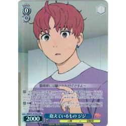 画像1: 【SR星1】抱えているもの ジジ [WS_DDD/S129-092S]