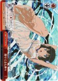 降りてきた神々[WS_DDM/S88-P01PR]