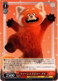 ティーンエイジャー メイ[WS_Dpx/S104-068U]